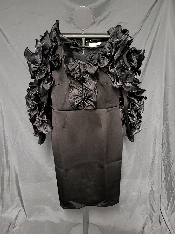 Black Ruffle Chiffon Dress